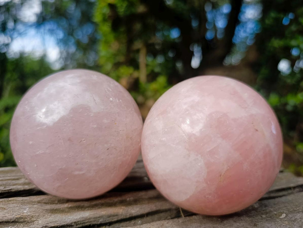 Polished Gemmy Star Rose Quartz Spheres x 2 From Madagascar - Toprock Gemstones and Minerals 