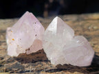 Natural Spirit Amethyst Single Crystals x 35 From Boekenhouthoek, South Africa - Toprock Gemstones and Minerals 