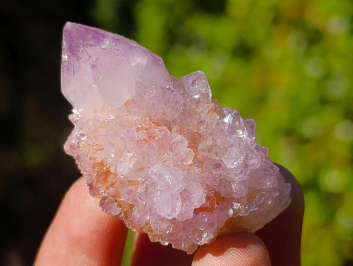 Natural Spirit Amethyst Single Crystals x 35 From Boekenhouthoek, South Africa - Toprock Gemstones and Minerals 