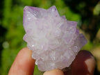 Natural Spirit Amethyst Single Crystals x 35 From Boekenhouthoek, South Africa - Toprock Gemstones and Minerals 