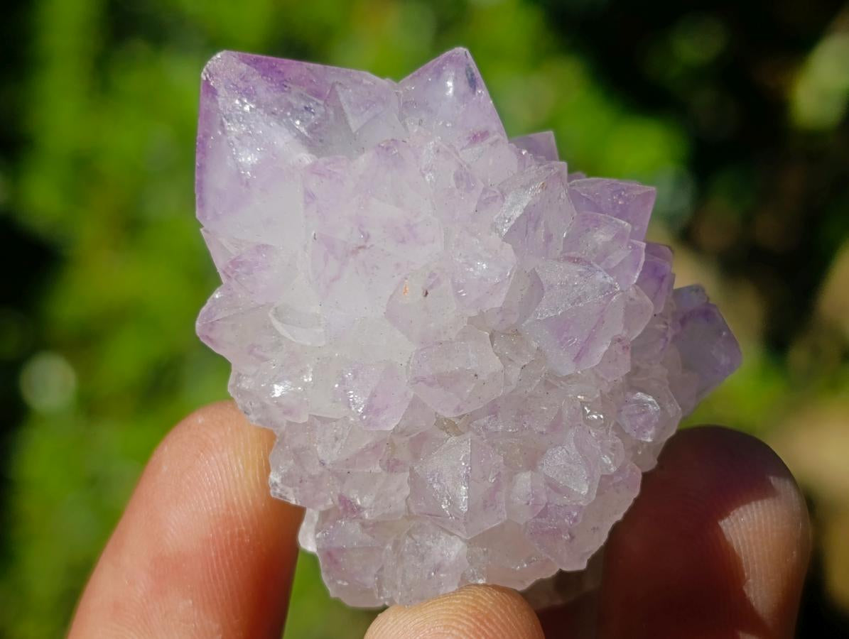 Natural Spirit Amethyst Single Crystals x 35 From Boekenhouthoek, South Africa - Toprock Gemstones and Minerals 