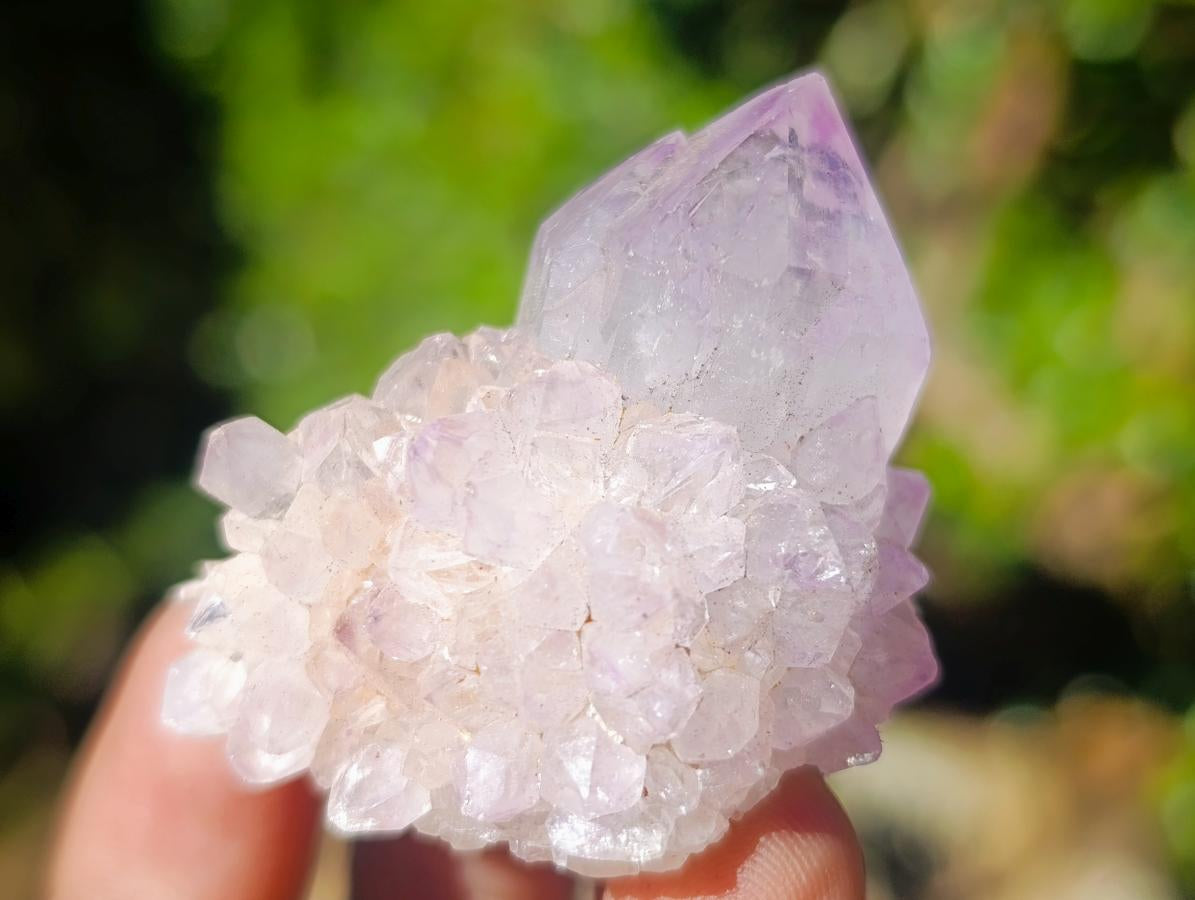 Natural Spirit Amethyst Single Crystals x 35 From Boekenhouthoek, South Africa - Toprock Gemstones and Minerals 