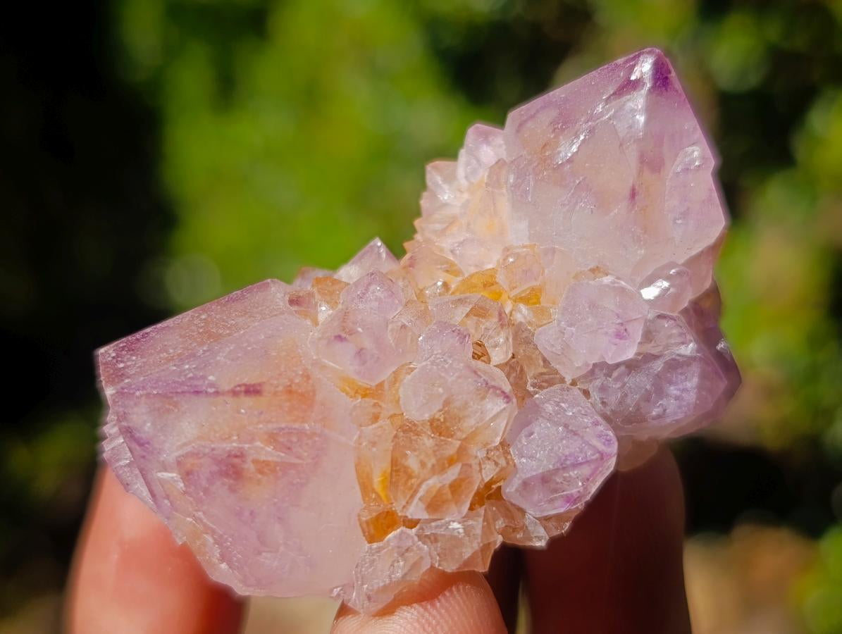 Natural Spirit Amethyst Single Crystals x 35 From Boekenhouthoek, South Africa - Toprock Gemstones and Minerals 