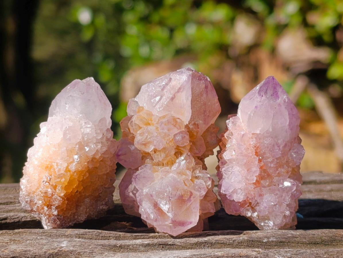 Natural Spirit Amethyst Single Crystals x 35 From Boekenhouthoek, South Africa - Toprock Gemstones and Minerals 