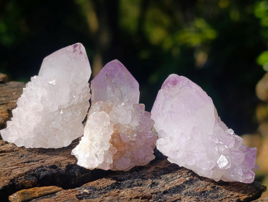 Natural Spirit Amethyst Single Crystals x 35 From Boekenhouthoek, South Africa - Toprock Gemstones and Minerals 