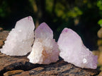 Natural Spirit Amethyst Single Crystals x 35 From Boekenhouthoek, South Africa - Toprock Gemstones and Minerals 
