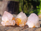 Natural Spirit Amethyst Single Crystals x 35 From Boekenhouthoek, South Africa - Toprock Gemstones and Minerals 