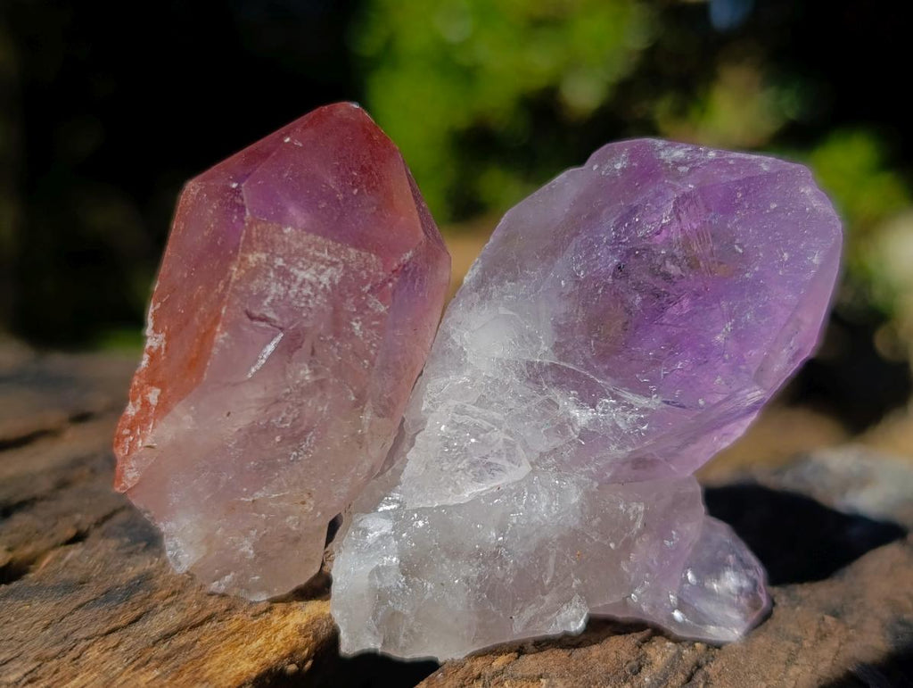 Natural Jacaranda Amethyst Single Crystals x 24 From Mumbwa, Zambia - Toprock Gemstones and Minerals 