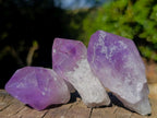 Natural Jacaranda Amethyst Single Crystals x 24 From Mumbwa, Zambia - Toprock Gemstones and Minerals 