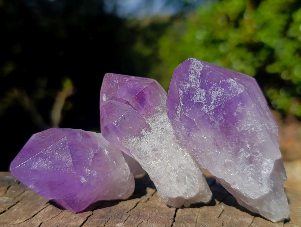 Natural Jacaranda Amethyst Single Crystals x 24 From Mumbwa, Zambia - Toprock Gemstones and Minerals 
