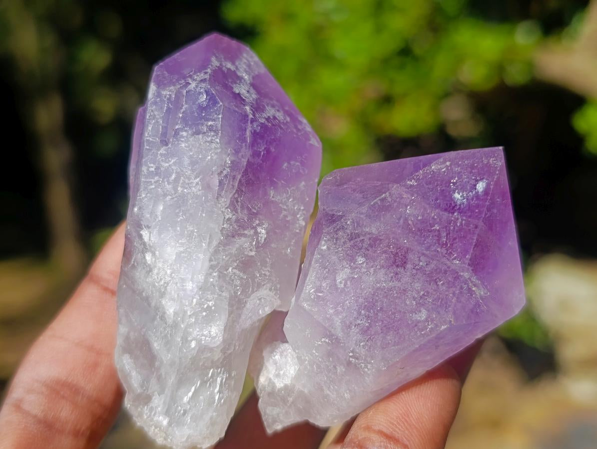 Natural Jacaranda Amethyst Single Crystals x 24 From Mumbwa, Zambia - Toprock Gemstones and Minerals 