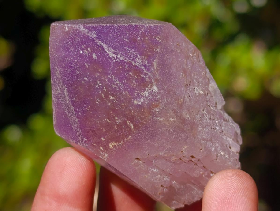 Natural Jacaranda Amethyst Single Crystals x 24 From Mumbwa, Zambia - Toprock Gemstones and Minerals 