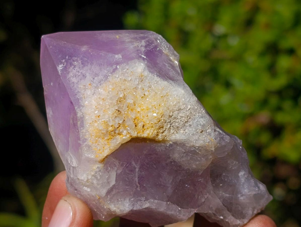 Natural Jacaranda Amethyst Single Crystals x 24 From Mumbwa, Zambia - Toprock Gemstones and Minerals 
