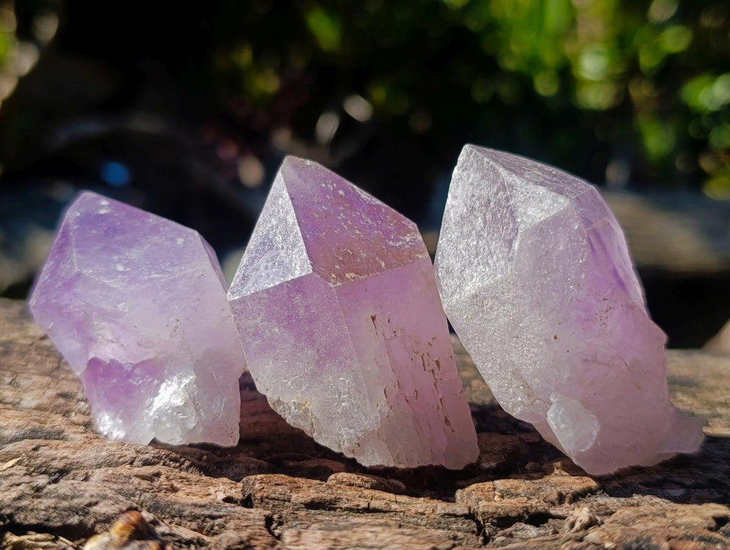 Natural Jacaranda Amethyst Single Crystals x 24 From Mumbwa, Zambia - Toprock Gemstones and Minerals 