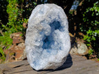 Natural Large Blue Celestite Geode Specimen x 1 From Sakoany, Madagascar - Toprock Gemstones and Minerals 