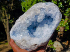 Natural Large Blue Celestite Geode Specimen x 1 From Sakoany, Madagascar - Toprock Gemstones and Minerals 