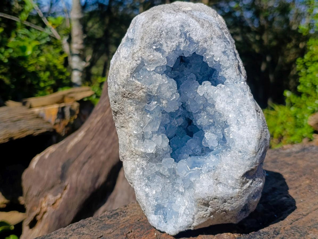 Natural Large Blue Celestite Geode Specimen x 1 From Sakoany, Madagascar - Toprock Gemstones and Minerals 
