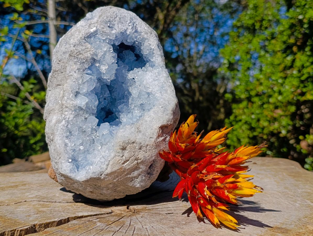 Natural Large Blue Celestite Geode Specimen x 1 From Sakoany, Madagascar - Toprock Gemstones and Minerals 