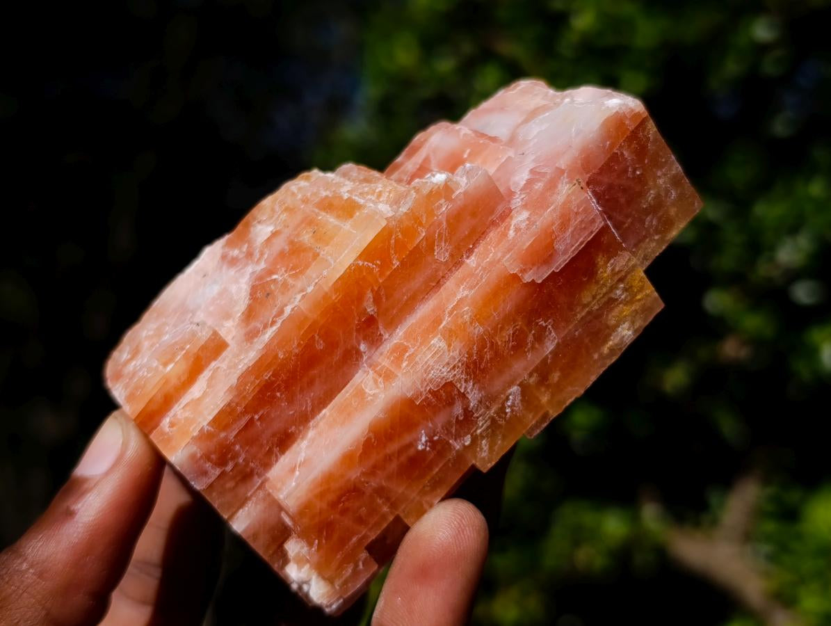 Natural Rhombohedral Sunset Orange Calcite Specimens x 12 From Spitzkop, Namibia - Toprock Gemstones and Minerals 
