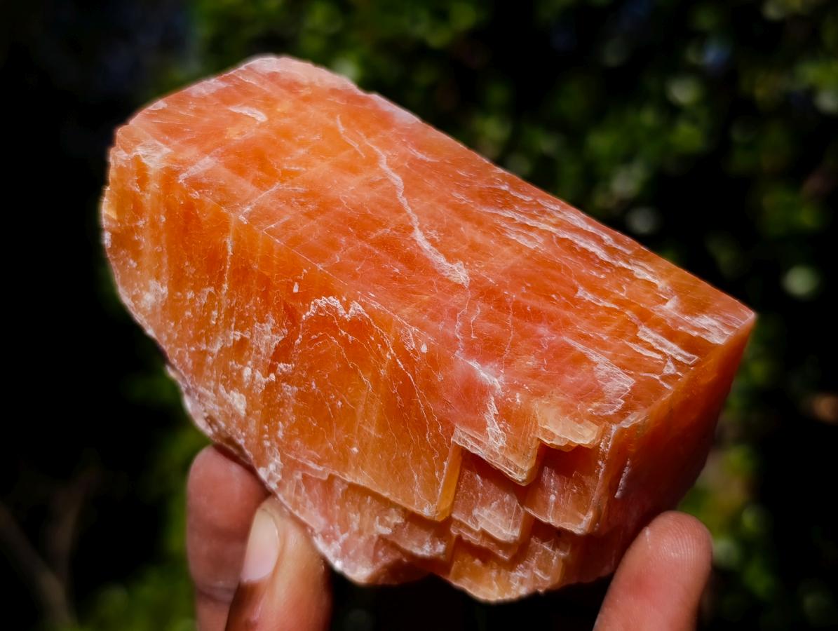 Natural Rhombohedral Sunset Orange Calcite Specimens x 12 From Spitzkop, Namibia - Toprock Gemstones and Minerals 