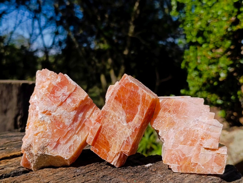 Natural Rhombohedral Sunset Orange Calcite Specimens x 12 From Spitzkop, Namibia - Toprock Gemstones and Minerals 
