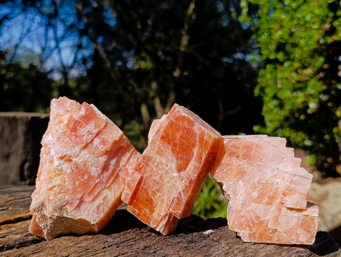 Natural Rhombohedral Sunset Orange Calcite Specimens x 12 From Spitzkop, Namibia - Toprock Gemstones and Minerals 