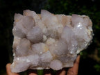 Natural Pale Lilac Spirit Amethyst Clusters x 2 From Boekenhouthoek, South Africa - Toprock Gemstones and Minerals 