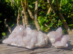 Natural Pale Lilac Spirit Amethyst Clusters x 2 From Boekenhouthoek, South Africa - Toprock Gemstones and Minerals 