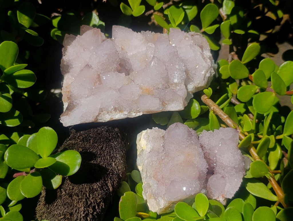 Natural Pale Lilac Spirit Amethyst Clusters x 2 From Boekenhouthoek, South Africa - Toprock Gemstones and Minerals 