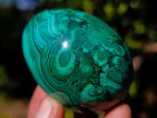 Polished Flower Banded Malachite Gemstone Eggs x 4 From Congo - Toprock Gemstones and Minerals 