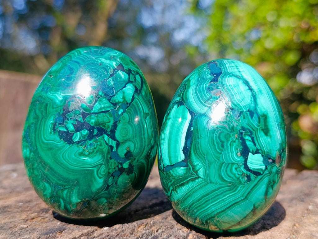 Polished Flower Banded Malachite Gemstone Eggs x 4 From Congo - Toprock Gemstones and Minerals 