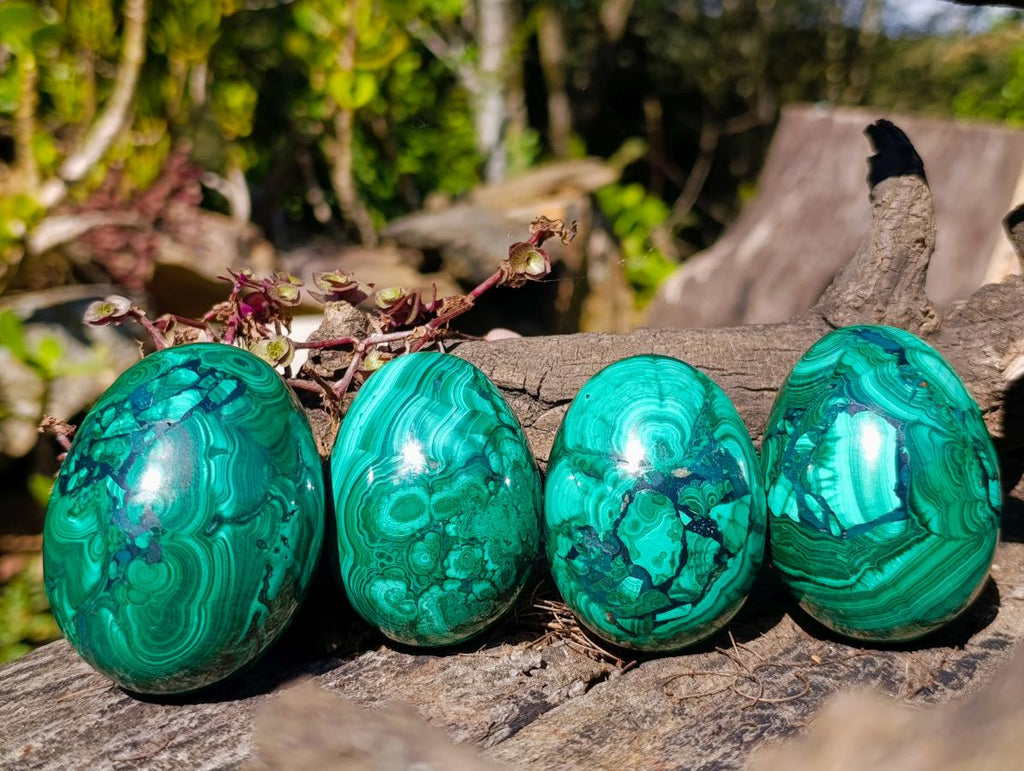 Polished Flower Banded Malachite Gemstone Eggs x 4 From Congo - Toprock Gemstones and Minerals 