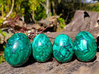 Polished Flower Banded Malachite Gemstone Eggs x 4 From Congo - Toprock Gemstones and Minerals 