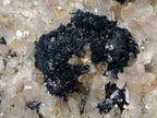 Natural XL Smokey Quartz Specimen with Associated Minerals x 1 From Erongo, Namibia - Toprock Gemstones and Minerals 