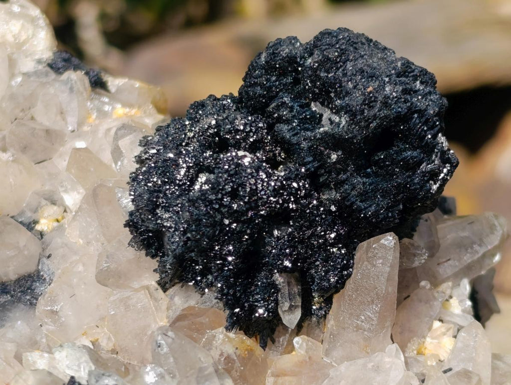 Natural XL Smokey Quartz Specimen with Associated Minerals x 1 From Erongo, Namibia - Toprock Gemstones and Minerals 
