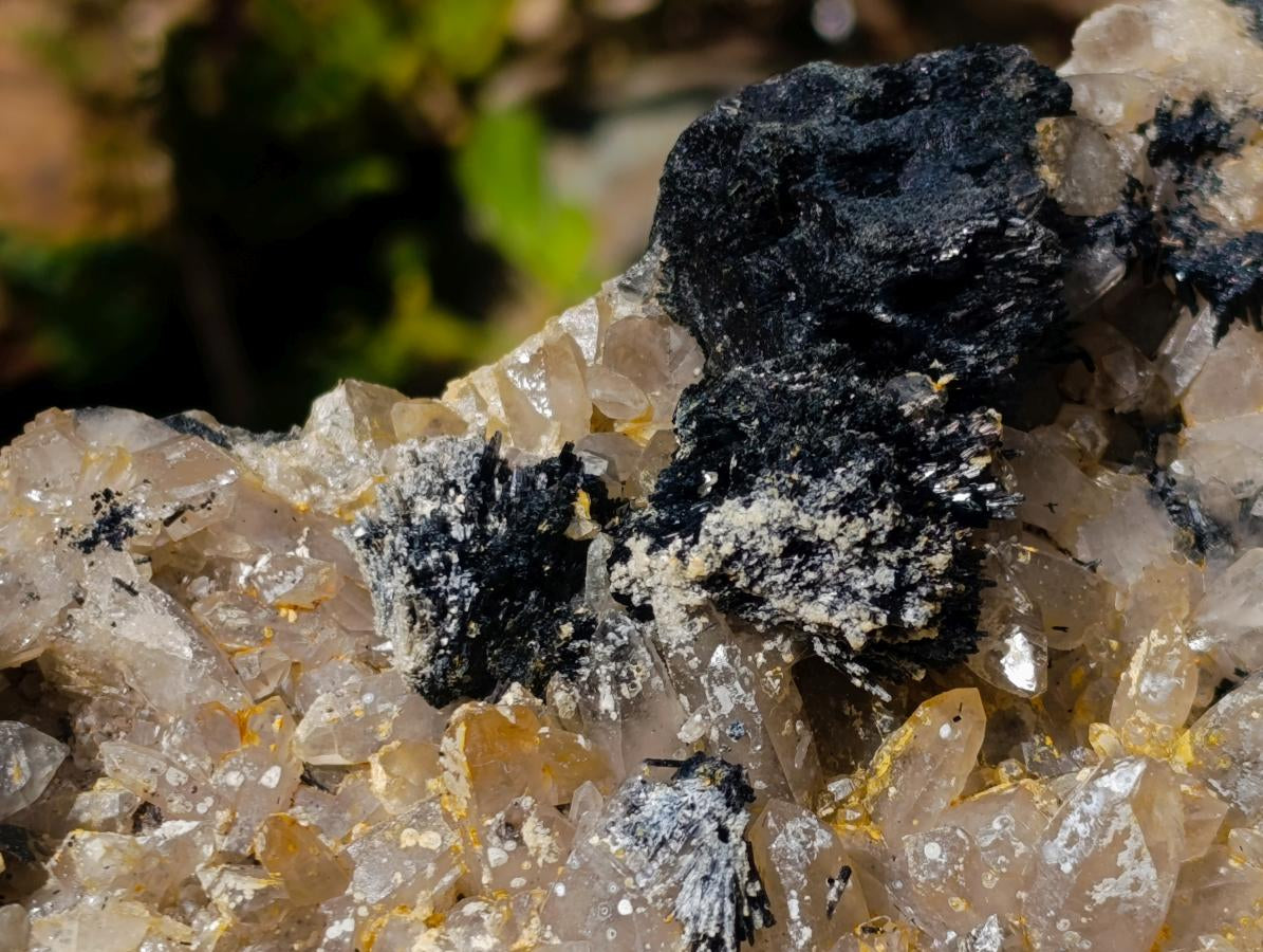 Natural XL Smokey Quartz Specimen with Associated Minerals x 1 From Erongo, Namibia - Toprock Gemstones and Minerals 