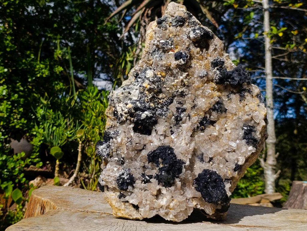 Natural XL Smokey Quartz Specimen with Associated Minerals x 1 From Erongo, Namibia - Toprock Gemstones and Minerals 