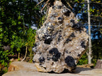 Natural XL Smokey Quartz Specimen with Associated Minerals x 1 From Erongo, Namibia - Toprock Gemstones and Minerals 