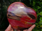 Polished Red Podocarpus Petrified Wood Hearts x 2 From Mahajanga, Madagascar - Toprock Gemstones and Minerals 