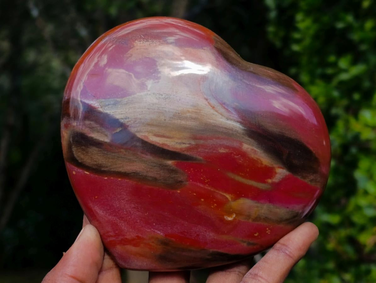 Polished Red Podocarpus Petrified Wood Hearts x 2 From Mahajanga, Madagascar - Toprock Gemstones and Minerals 