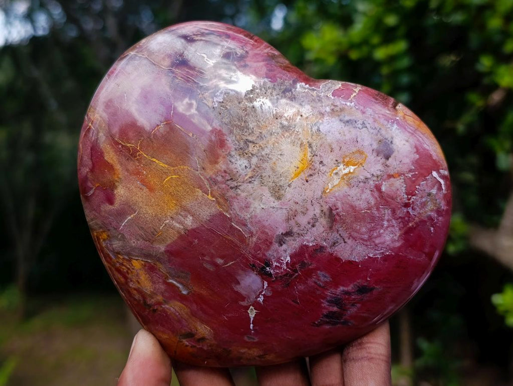 Polished Red Podocarpus Petrified Wood Hearts x 2 From Mahajanga, Madagascar - Toprock Gemstones and Minerals 