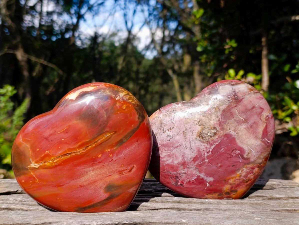 Polished Red Podocarpus Petrified Wood Hearts x 2 From Mahajanga, Madagascar - Toprock Gemstones and Minerals 