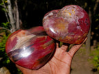Polished Red Podocarpus Petrified Wood Hearts x 2 From Mahajanga, Madagascar - Toprock Gemstones and Minerals 