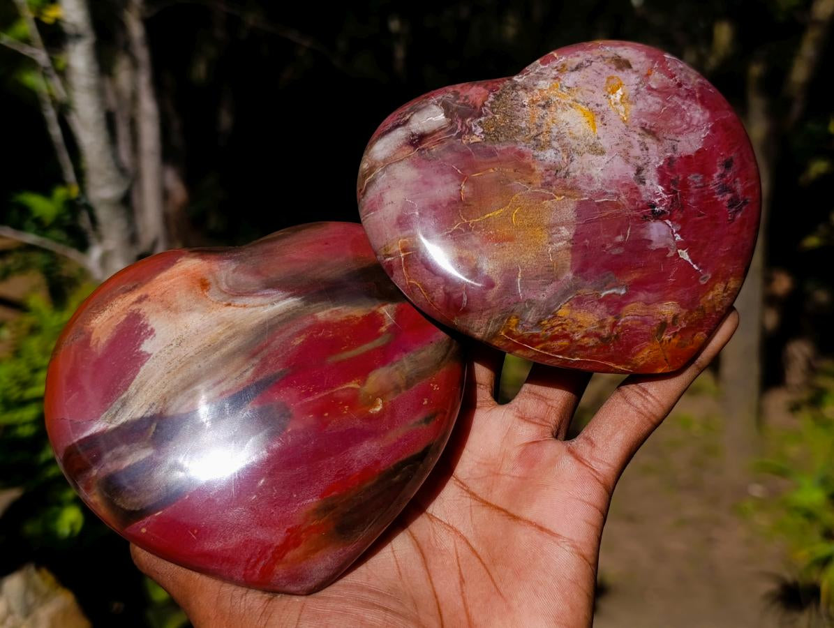 Polished Red Podocarpus Petrified Wood Hearts x 2 From Mahajanga, Madagascar - Toprock Gemstones and Minerals 