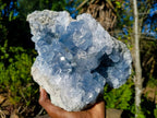 Natural Large Blue Celestite Specimen x 1 From Sakoany, Madagascar - Toprock Gemstones and Minerals 