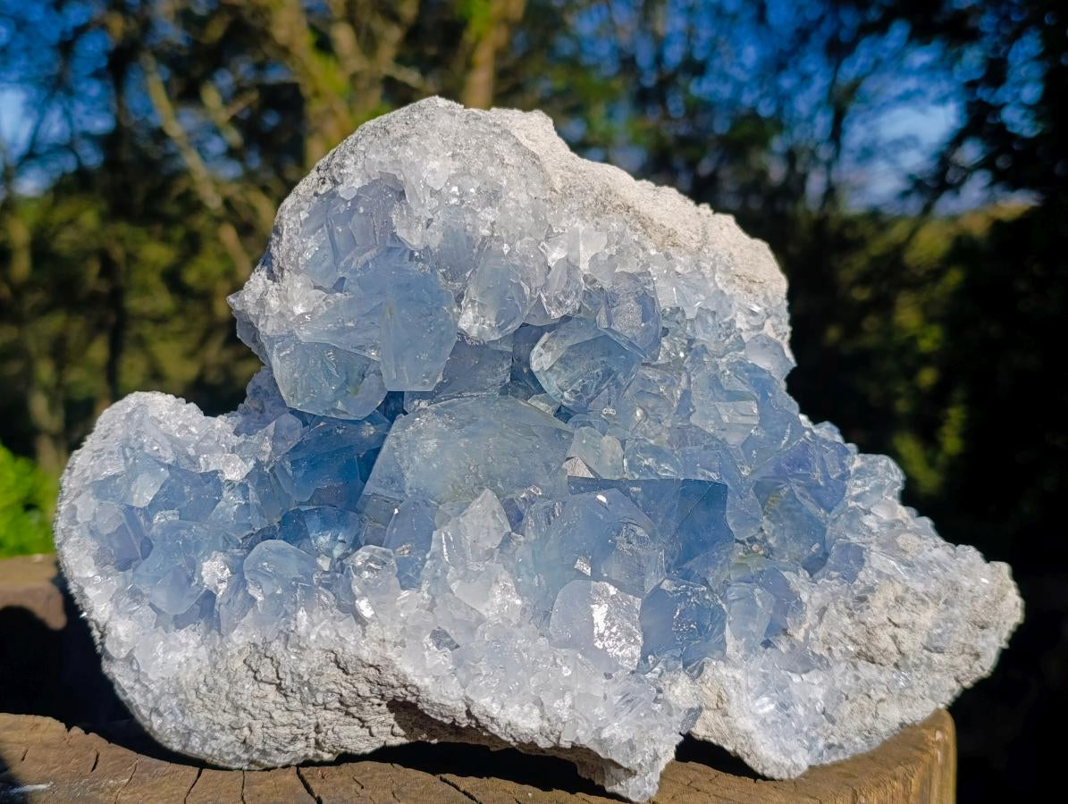 Natural Large Blue Celestite Specimen x 1 From Sakoany, Madagascar - Toprock Gemstones and Minerals 