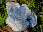 Natural Large Blue Celestite Specimen x 1 From Sakoany, Madagascar - Toprock Gemstones and Minerals 