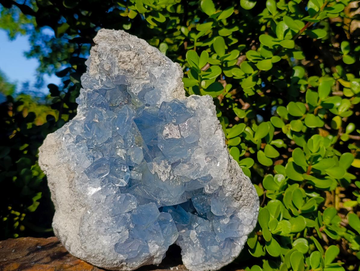 Natural Large Blue Celestite Specimen x 1 From Sakoany, Madagascar - Toprock Gemstones and Minerals 