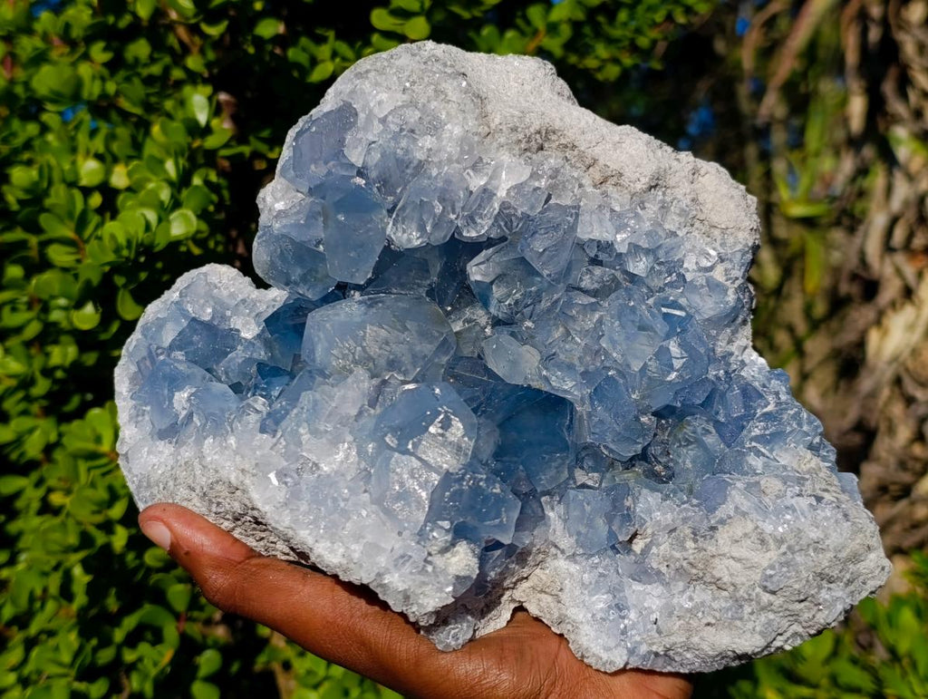 Natural Large Blue Celestite Specimen x 1 From Sakoany, Madagascar - Toprock Gemstones and Minerals 