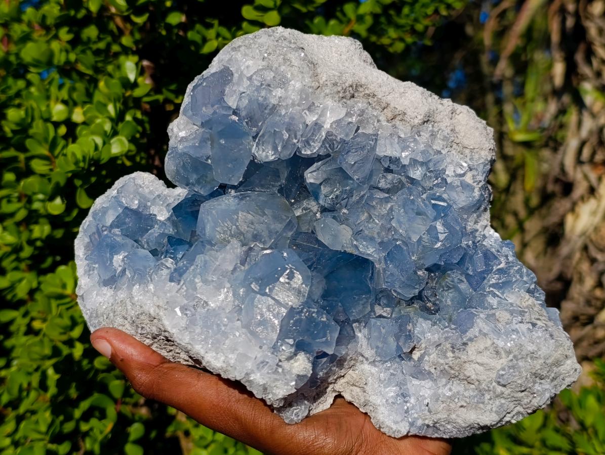 Natural Large Blue Celestite Specimen x 1 From Sakoany, Madagascar - Toprock Gemstones and Minerals 
